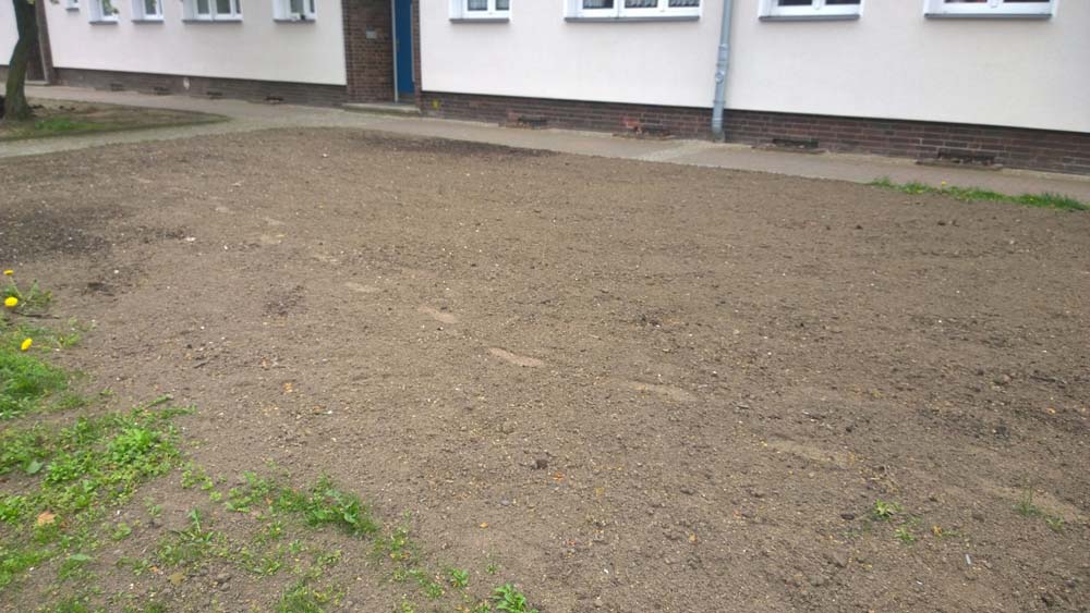 humus flaechig klein