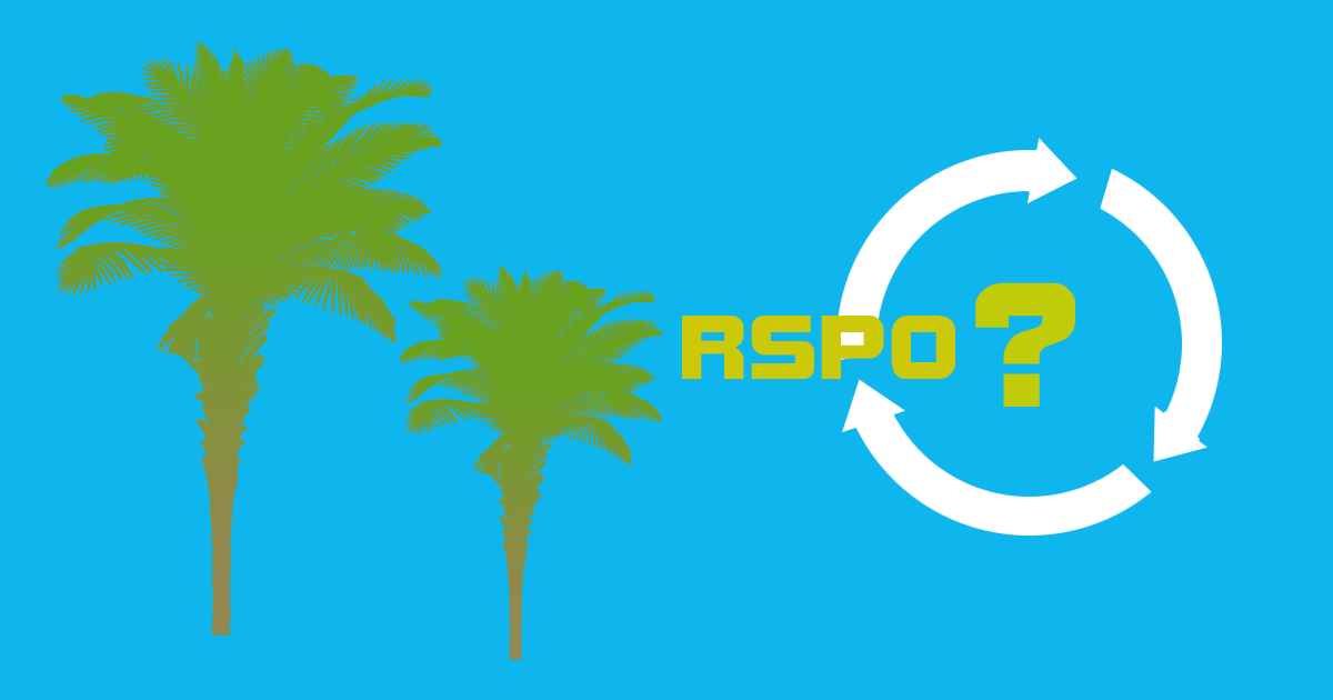 Beispielbild Bildung