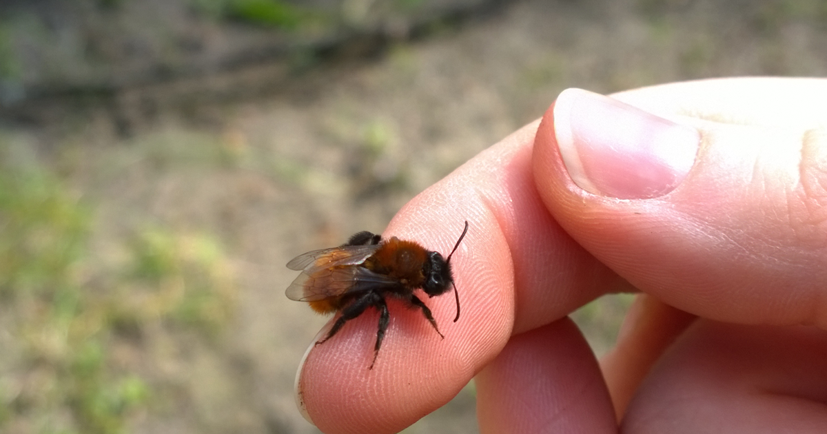 Beispielbild Bildung